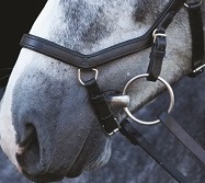 Rambo Micklem Competition Bridle Horseware