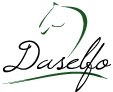 Daselfo