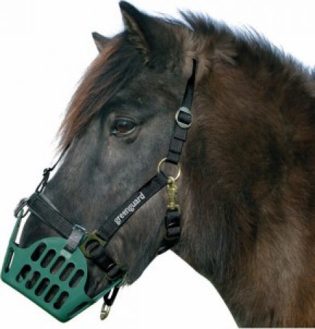 greenguard Halfter schwarz Shetty, Pony, Full Nordic Medica